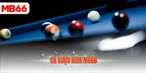 Cá cược bida MB66