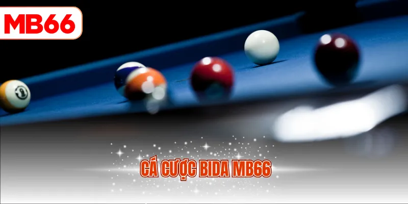 Cá cược bida MB66