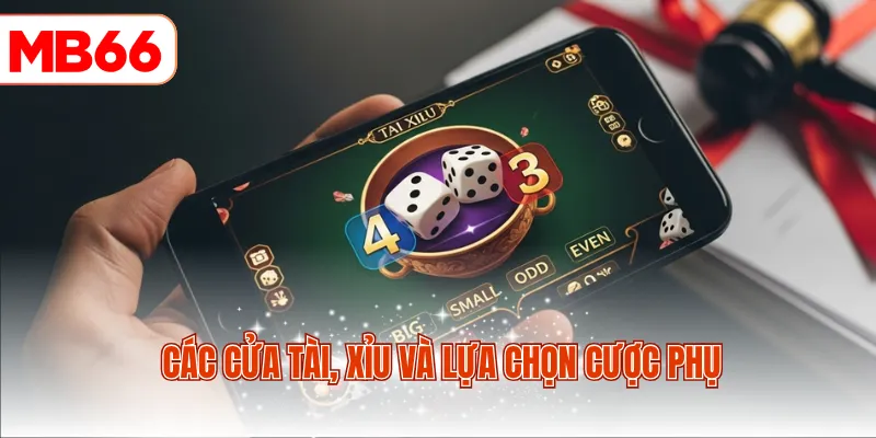 Các cửa Tài, Xỉu và lựa chọn cược phụ