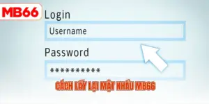 Cách lấy lại mật khẩu MB66
