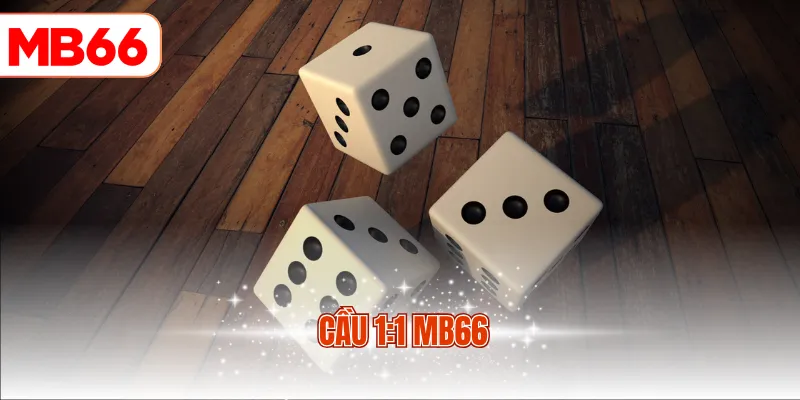 Cầu 1:1 MB66