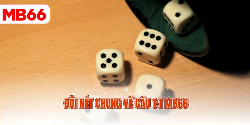 Đôi nét chung về cầu 1:1 MB66