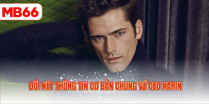 Đôi nét thông tin cơ bản chung về CEO Karin