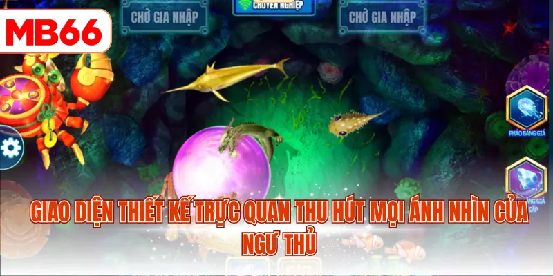 Giao diện thiết kế trực quan thu hút mọi ánh nhìn của ngư thủ