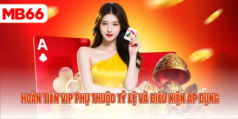 Hoàn tiền VIP phụ thuộc tỷ lệ và điều kiện áp dụng