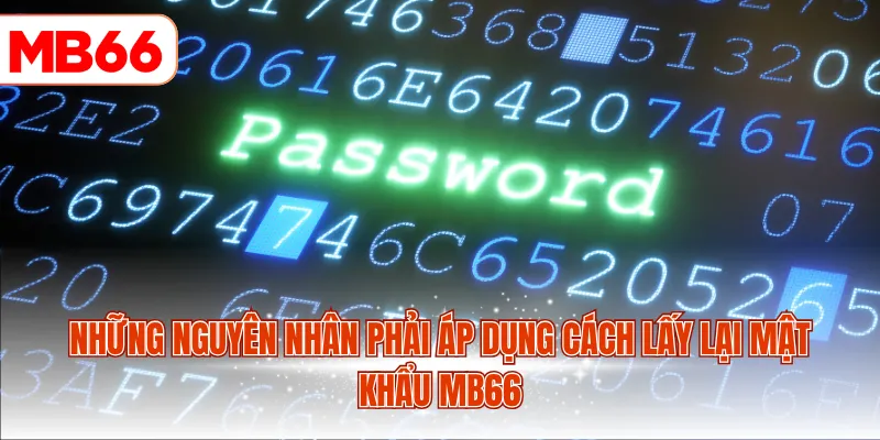 Những nguyên nhân phải áp dụng cách lấy lại mật khẩu MB66