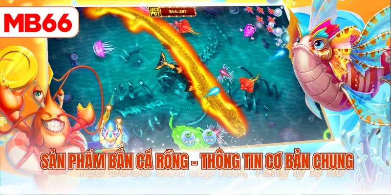 Sản phẩm bắn cá Rồng - Thông tin cơ bản chung