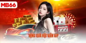 Tặng quà hội viên Vip