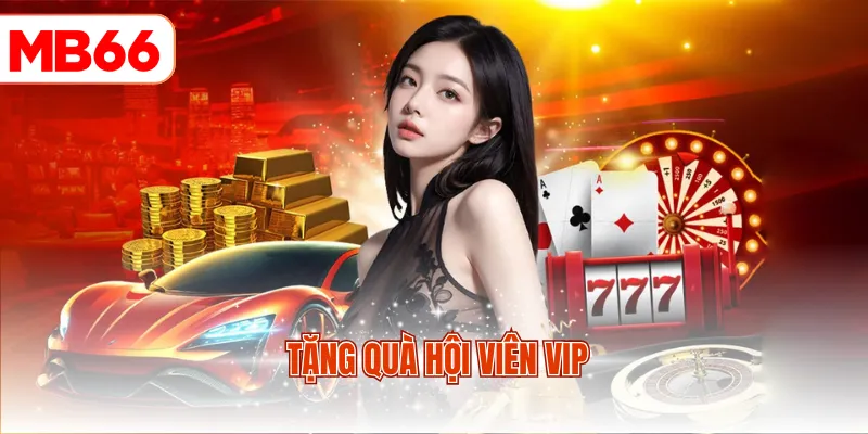 Tặng quà hội viên Vip