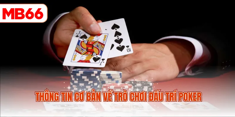 Thông tin cơ bản về trò chơi đấu trí Poker