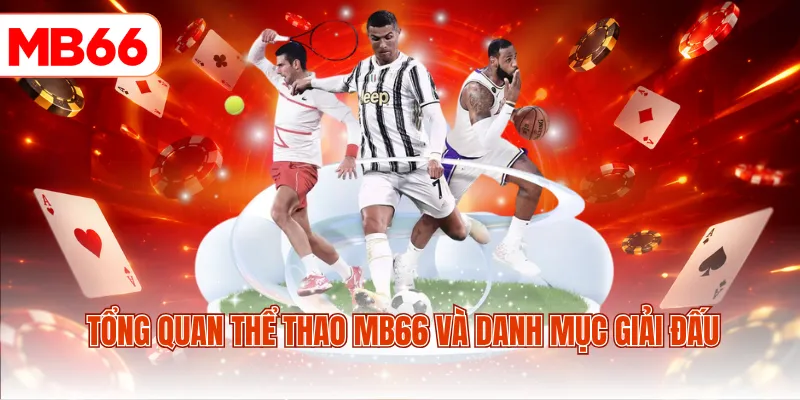 Tổng quan thể thao MB66 và danh mục giải đấu